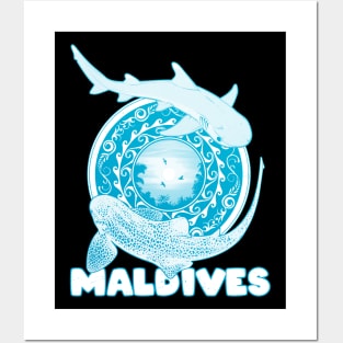 Maldives Leopard Shark Whitetip Reef Shark Posters and Art